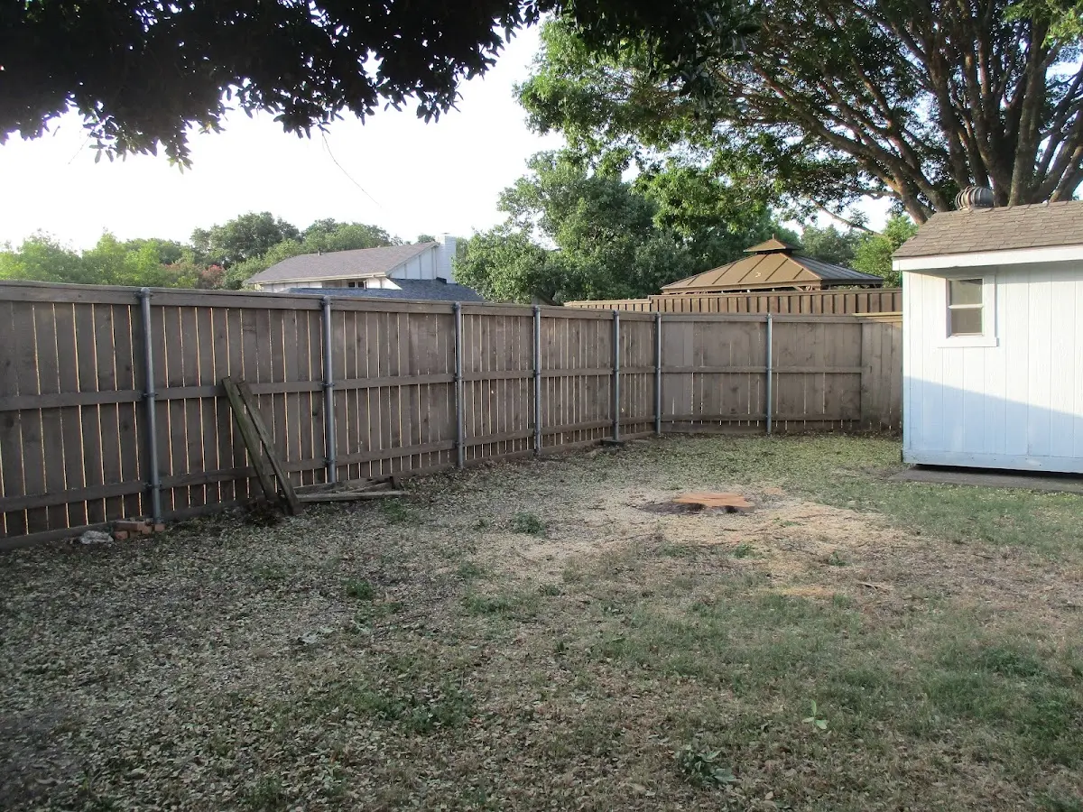 Cleared yard after professional tree removal in Pulaski